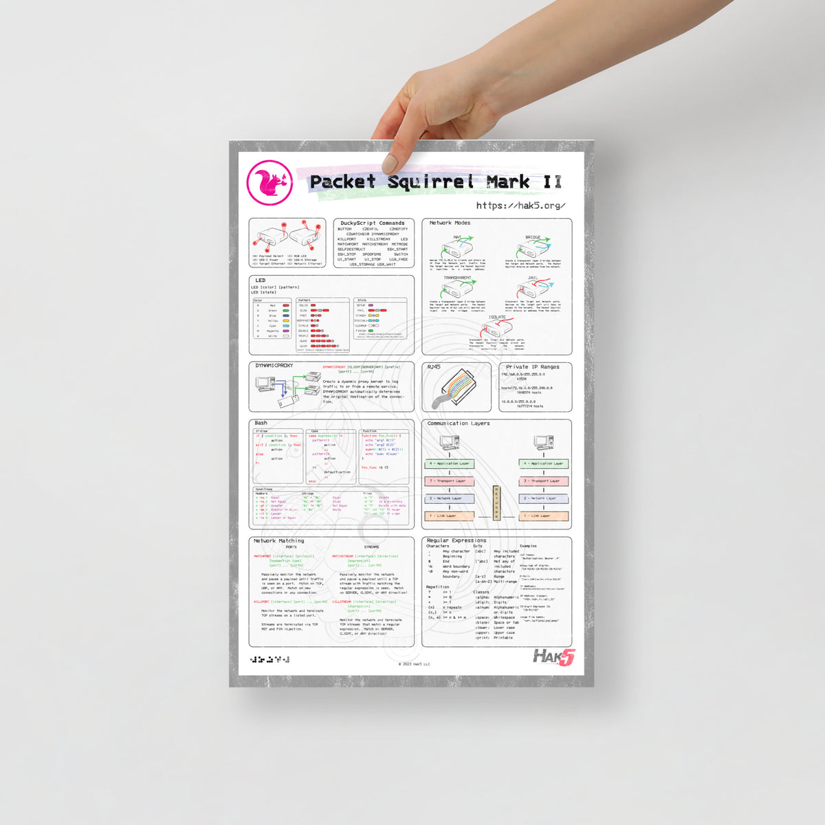 Packet Squirrel Infographic Poster